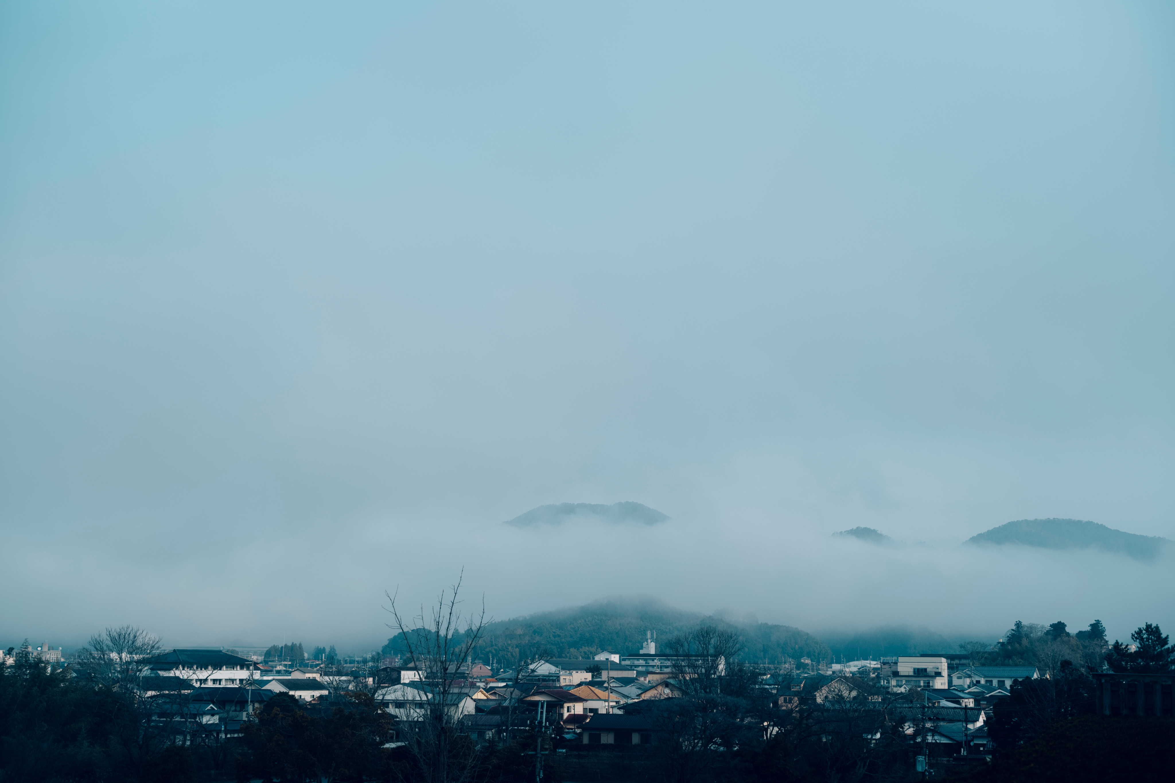 京都における文化財の再生プロジェクト